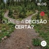 Qual é a decisão certa?