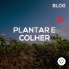 Plantar e colher