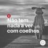 Não tem nada a ver com coelhos